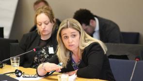 Offaly Independent TD asks: 'Do we really need 437 approved housing bodies'