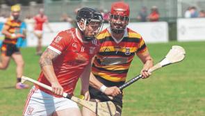 Goals the key as Coill Dubh power past Ardclough in Kildare SHC