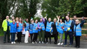 Work underway in Portlaoise Park to tackle invasive plant growing wild 
