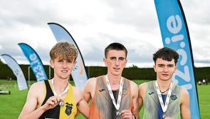 Gallery-Kilkenny stars walking in a medal wonderland in Tullamore