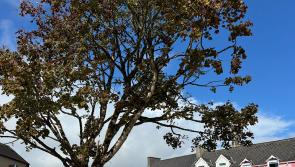 Triona is celebrating 10 years in Donegal Town with a customer appreciation event