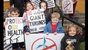 ‘Dismay’ over plan for 17 wind turbines in Limerick taller than the Spire in Dublin 