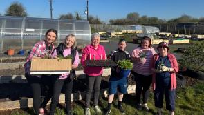 Two Laois communities growing and eating food with Our Shared Plate