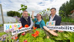 Hugely popular Harvest Festival set to return to Waterford this September