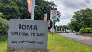 Praise heaped on Forest Fest in Laois