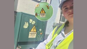 Young tidy towns member in Kilmallock adds colour to her Limerick Community