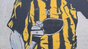 More Kilkenny hurling greats painted on to the walls of UPMC Nowlan Park 