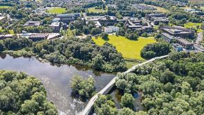 Greenway plan to link University of Limerick to National Technology Park