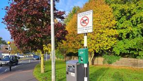 Laois councillor wants bins on walking routes especially for bags of dog poo