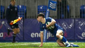 Offaly man named in Leinster rugby academy