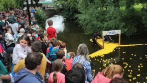 ‘Quack’ will be mighty as rugby club hosts Super Saturday family fun day