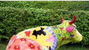 Art and ploughing - a perfect combination in Tullamore