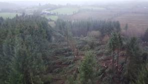 Storm-Damaged Coillte sites in Sligo and Leitrim set for repairs under €4M national investment – Minister Harkin