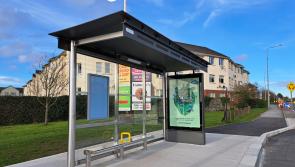 Safety concerns spark call for more bus stops in Laois towns and villages