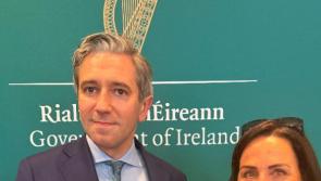 €1m for Ardee Castle will close funding shortfall says Louth councillor