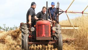 All aboard for popular threshing festival in South Offaly later this month