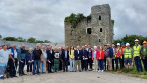 PICTURES: Rural community save 'Bunratty of Laois' from falling down