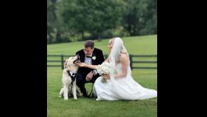 Limerick hurler Diarmaid Byrnes weds long-time love Elaine in breathtaking 5-star setting