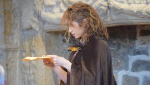 In Pictures: History meets art at very special evening in Donegal Castle