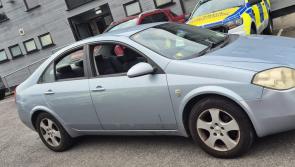 Kilkenny gardaí shocked by discovery in car driven by uninsured driver  