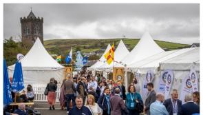 Congratulations! Four Carlow businesses announced as finalists in The Irish Food Awards 2025