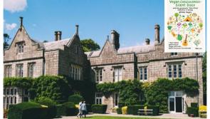 'Ireland’s ultimate vegan festival' to be held in Carlow this weekend