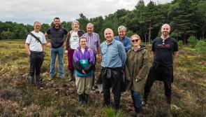 Tullamore Lions Club spearheads major bog conservation project