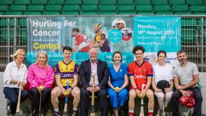 Waterford legend to feature alongside royalty in annual Hurling for Cancer charity match