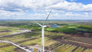Only Cork and Kerry wind farms deliver more power than Offaly