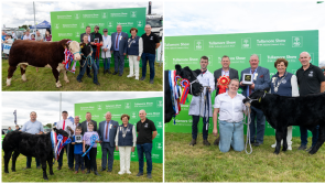 PICTURES: Huge celebrations as FBD National Livestock champions crowned at Tullamore Show