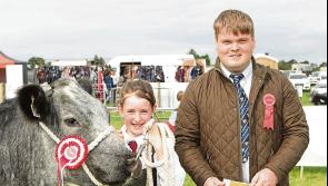 Exhibitors to travel from Donegal to West Cork for Cappamore Show's cattle section
