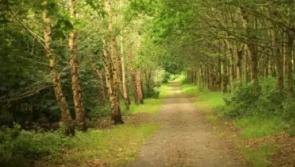 Laois walking trails and outdoor amenities get big boost 
