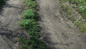 Senator welcomes Longford funding with Outdoor Recreation Infrastructure Scheme