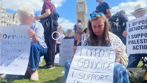 Limerick woman whose grandfather fought against British rule arrested at protest in London