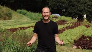 Barrie Quinn highlights dangerous cake ingredient that affects children’s behaviour 