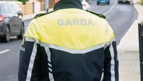 Gardai seize items in major raid over Traveller feud in County Limerick