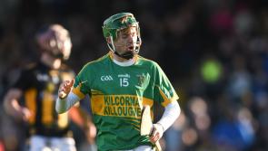 Five Offaly hurlers to feature as part of star-studded squad for charity match