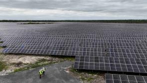 LATEST: Massive solar farm officially launched in Kildare 