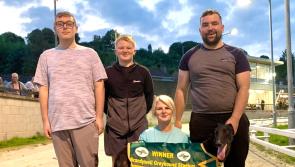 Derry Greyhounds: Three in a row for Knockavilla Jet in Edgar Memorial  heats at Brandywell