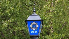 Pub staff threatened by man brandishing a knife in Limerick