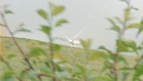 Unique two-person performance coming to local Tipperary arts centre