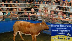 PICTURES: Roscrea's 'Lets Rear a Calf for Hospice' project raises high bids