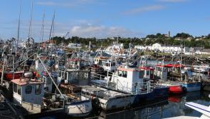 Group plans to push for second multi-million-euro breakwater at Greencastle Pier