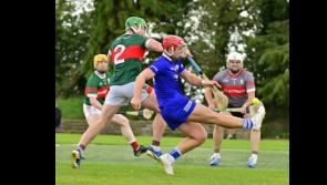 Sarsfields huff and puff their way to victory over stubborn Mullinahone challenge