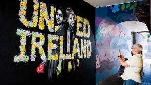 Waterford's stunning 'United Ireland' mural featuring Indian and Irish children 