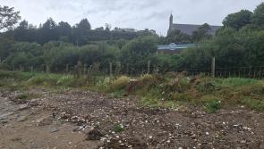 Calls for unregulated oyster fishermen to  ‘clean up their act’ after dumping incident