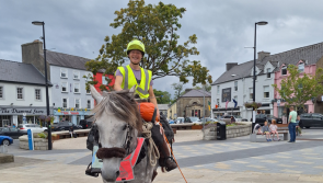 Cork woman undertakes 'Wild Atlantic Horseback Ride' beginning on Donegal coast