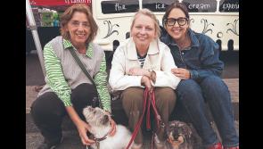 Dogs, Disney and dazzling displays enthral attendees at Limerick Show