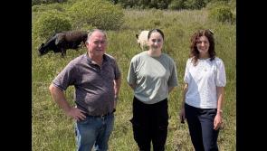 Shannon Airport Group's eco initiative makes final cut