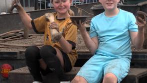 Magical memories created by the fascinating exploration of our  Tipperary past